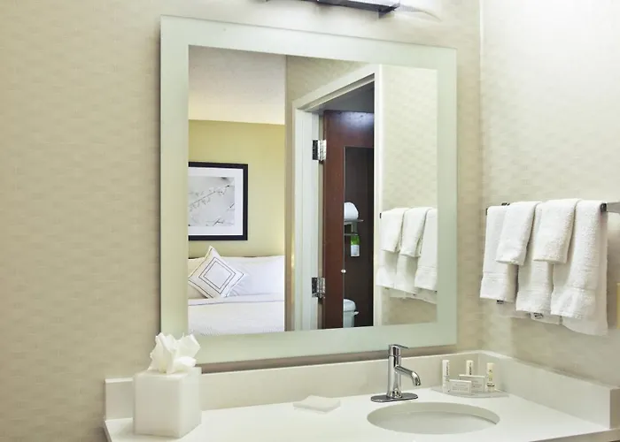 Springhill By Marriott Chicago Oakbrook Area Hotel 3*