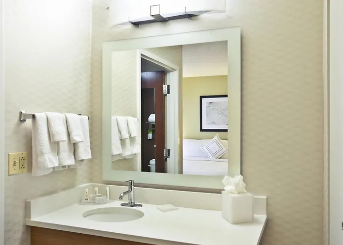 Hotel Springhill By Marriott Chicago Oakbrook Area 3*