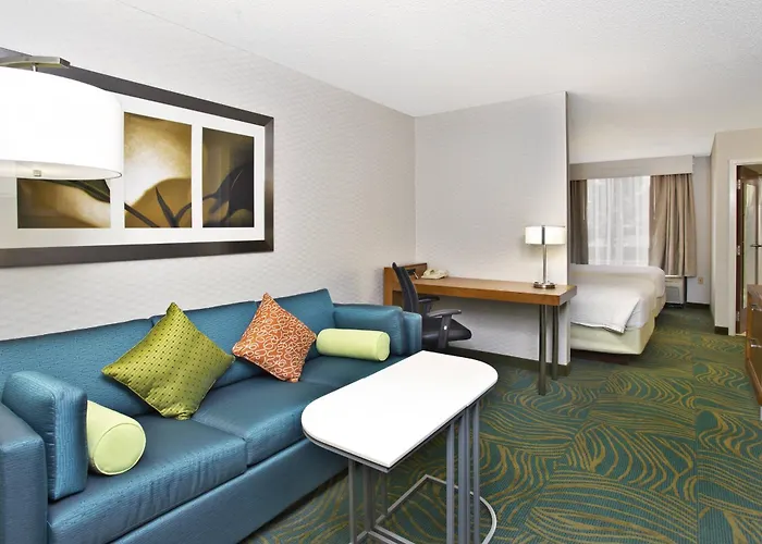 Hotel Springhill By Marriott Chicago Oakbrook Area